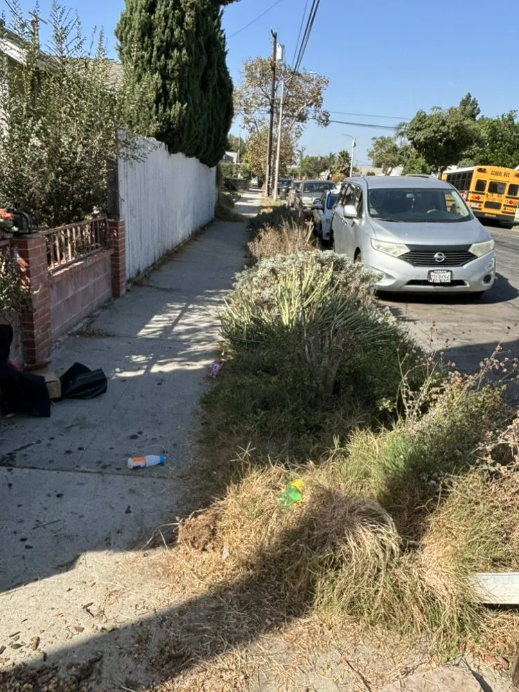 Affordable garden landscaping in Los Angeles, CA - LJ’S Landscaping