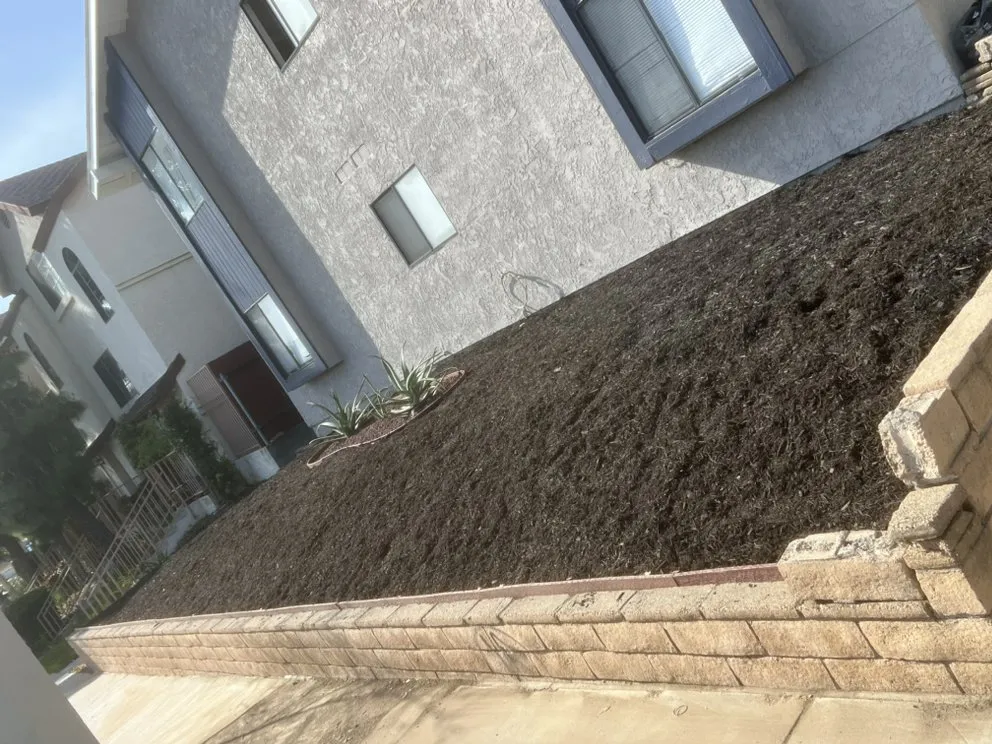 Local yard maintenance in Los Angeles, CA by LJ’S Landscaping