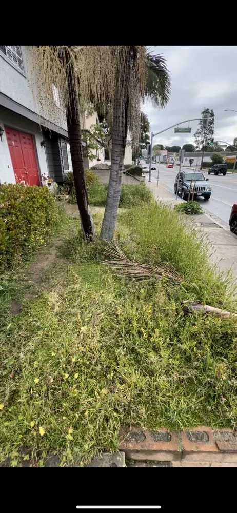 Local landscaping services in Los Angeles, CA by LJ’S Landscaping