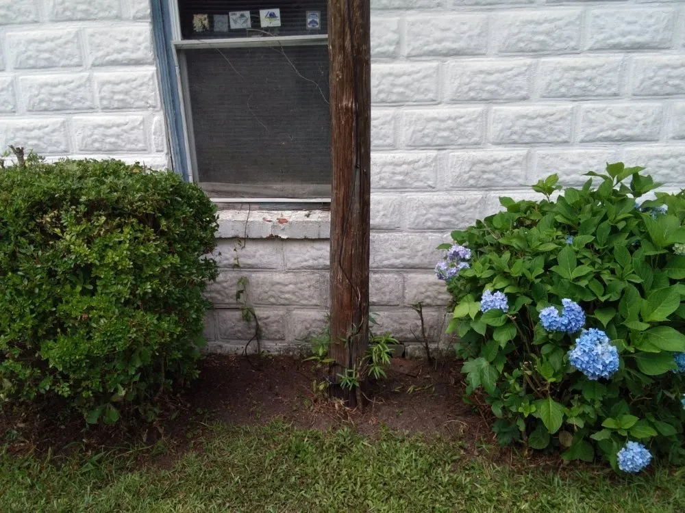 Affordable yard cleanup service experts serving Lumberton, NC - L&Js Landscaping