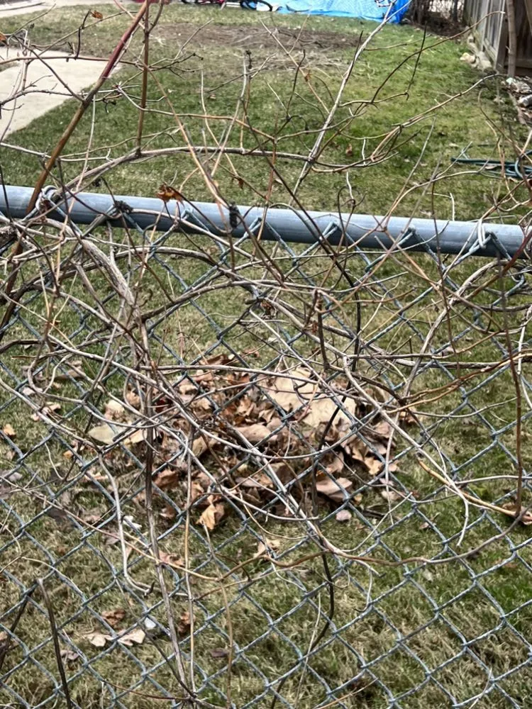 Expert garden landscaping experts serving West Milwaukee, WI - L&J’s Lawn care and Snow removal