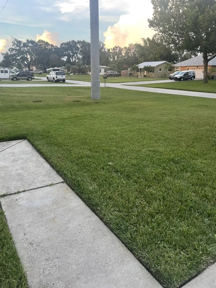 Affordable lawn mowing service for year-round maintenance in SAINT PETERSBURG, FL by Ljs Lawn Care