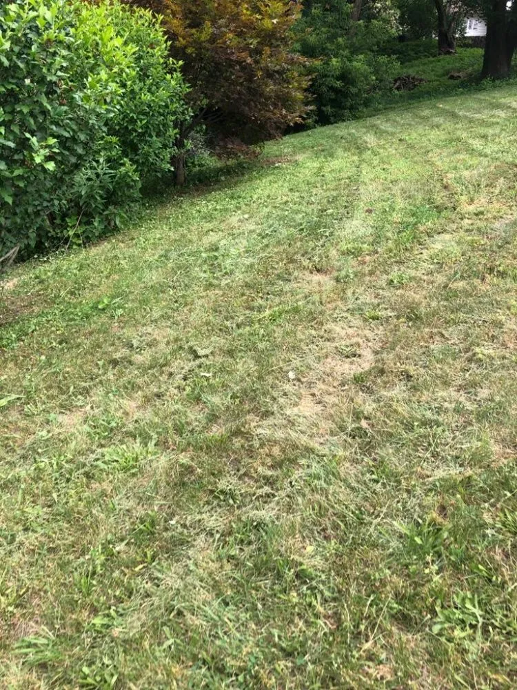 Reliable lawn care service in Tatamy, PA by Ljs Lawn Care