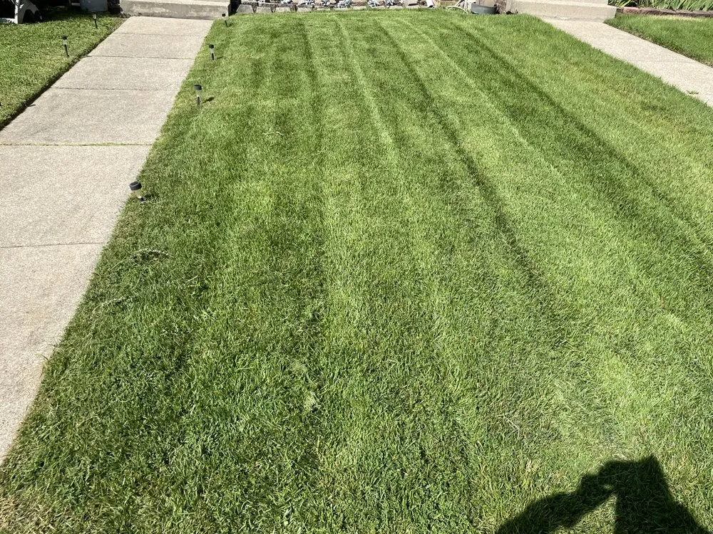Professional landscaping services in Woodbridge, VA by LJ's Lawn Care