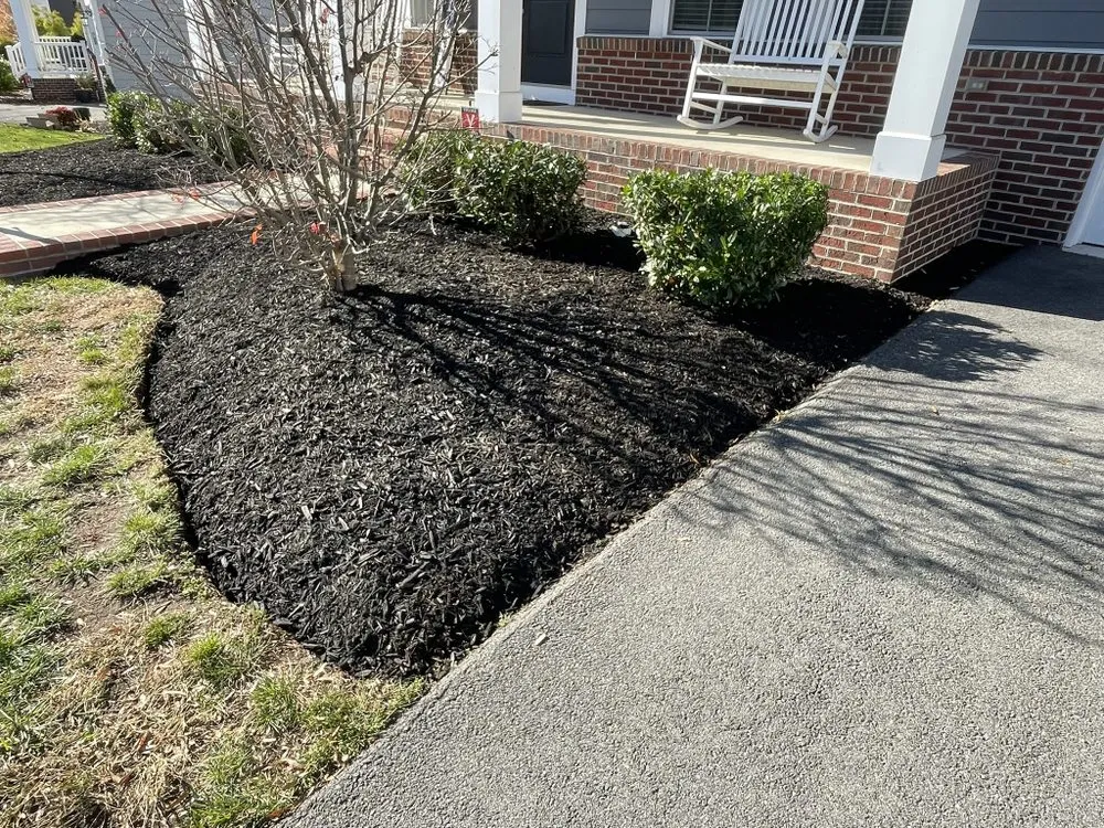 Trusted yard cleanup service experts serving Woodbridge, VA - LJ's Lawn Care