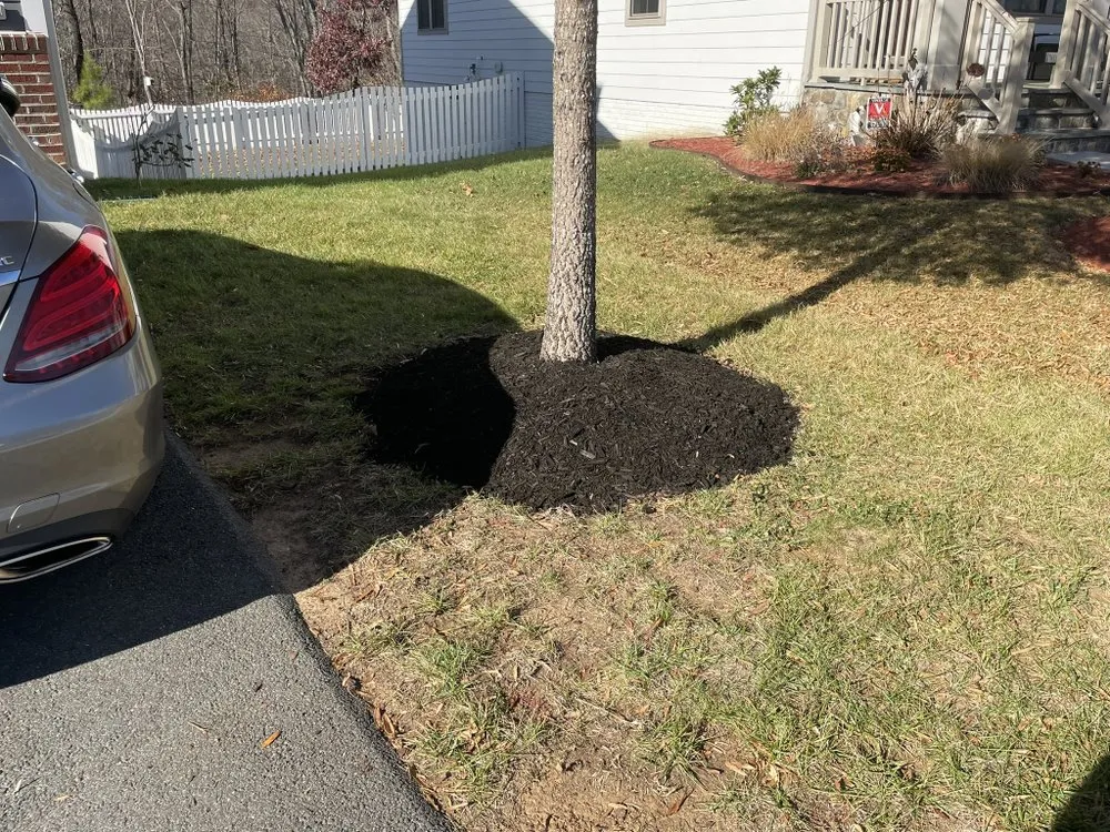 Local yard maintenance in Woodbridge, VA by LJ's Lawn Care