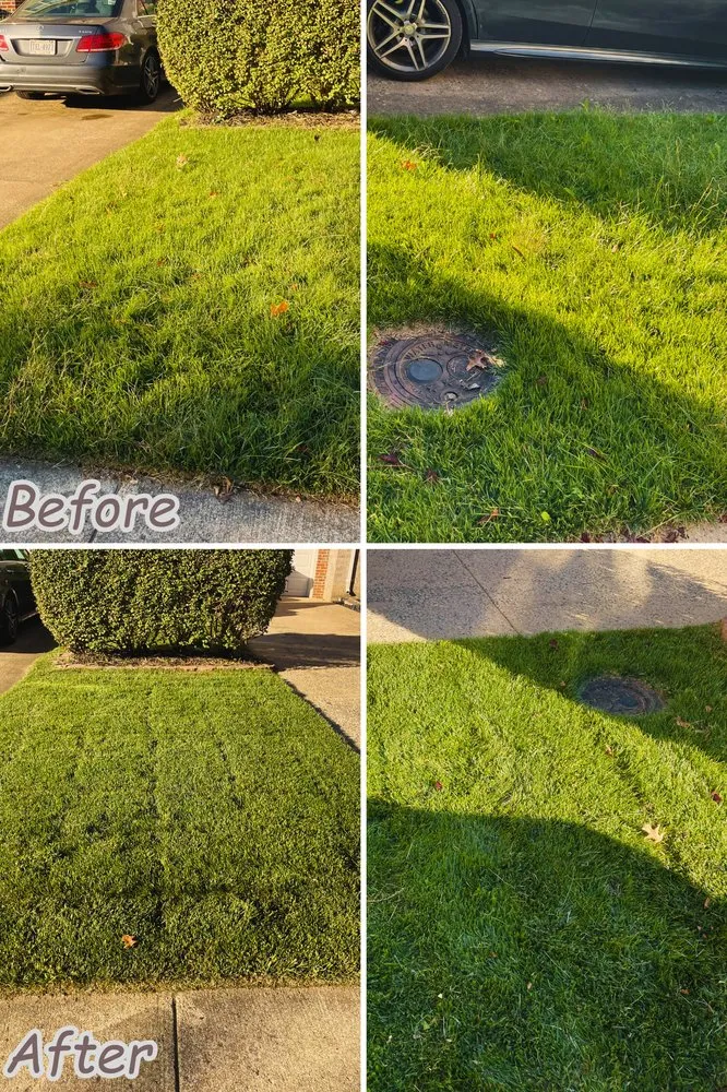 Professional yard cleanup service in Woodbridge, VA - LJ's Lawn Care