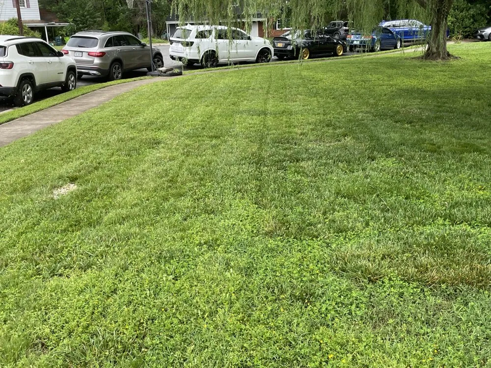 Top-rated residential landscaping for outdoor upgrades across Woodbridge, VA - LJ's Lawn Care