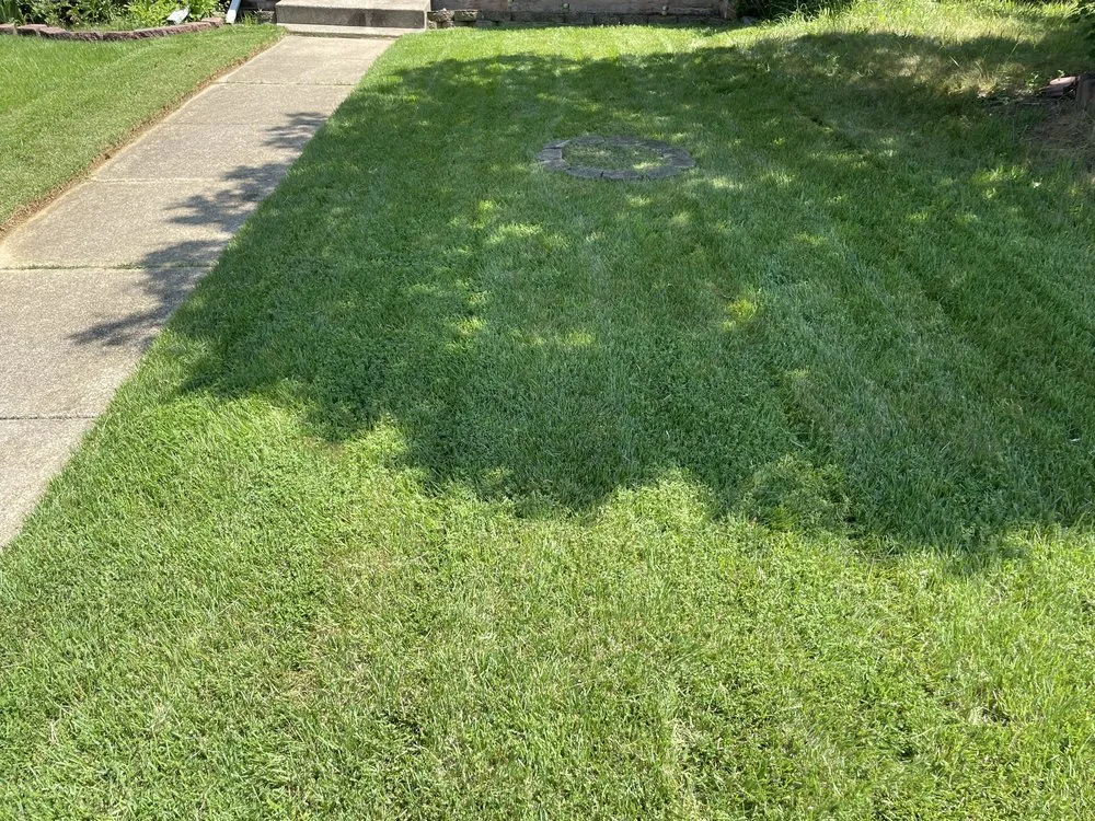 Local lawn mowing service experts serving Woodbridge, VA - LJ's Lawn Care