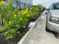Professional garden landscaping for homes across CTY BY THE SE, TX - LJ'S LAWN SERVICE