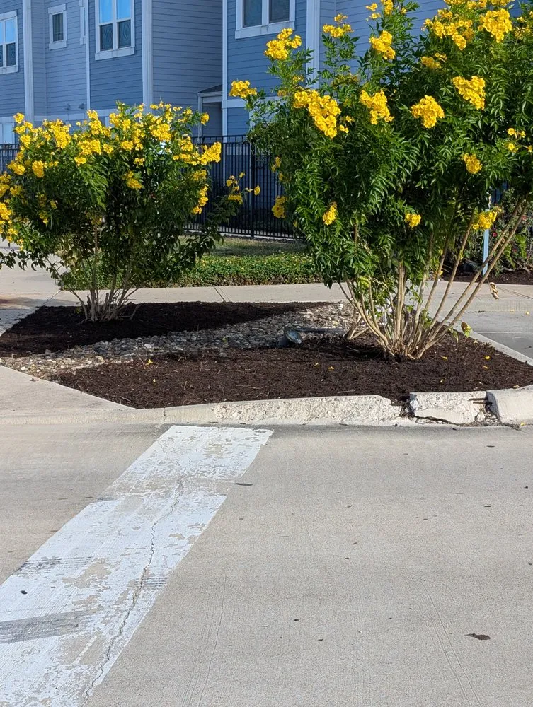 Local outdoor landscaping with custom design in CTY BY THE SE, TX by LJ'S LAWN SERVICE