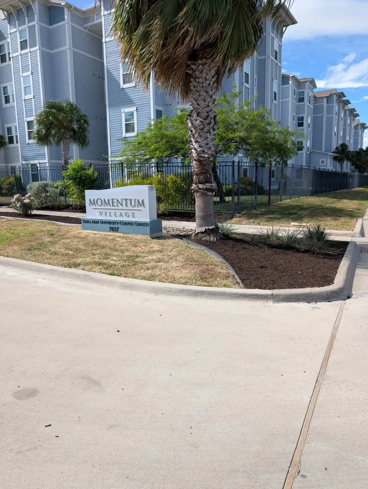 Local yard cleanup service in CTY BY THE SE, TX - LJ'S LAWN SERVICE
