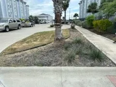 Local lawn care service with custom design in CTY BY THE SE, TX by LJ'S LAWN SERVICE