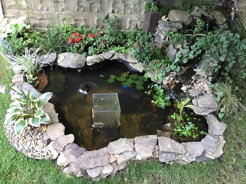 Reliable lawn care service in Braddock, PA - L&J’s Ponding Services