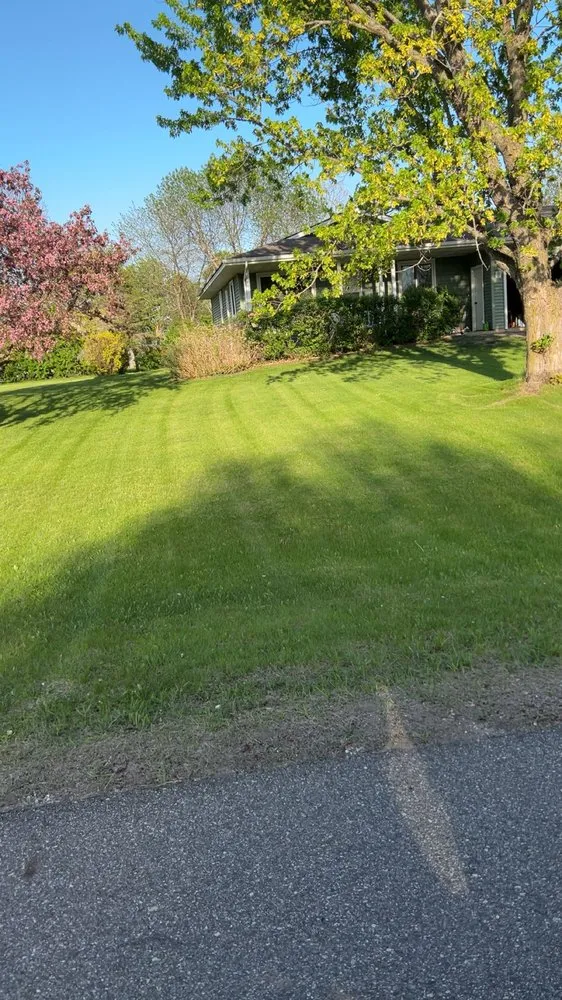 Trusted yard cleanup service in Maple Lake, MN by LJS Services