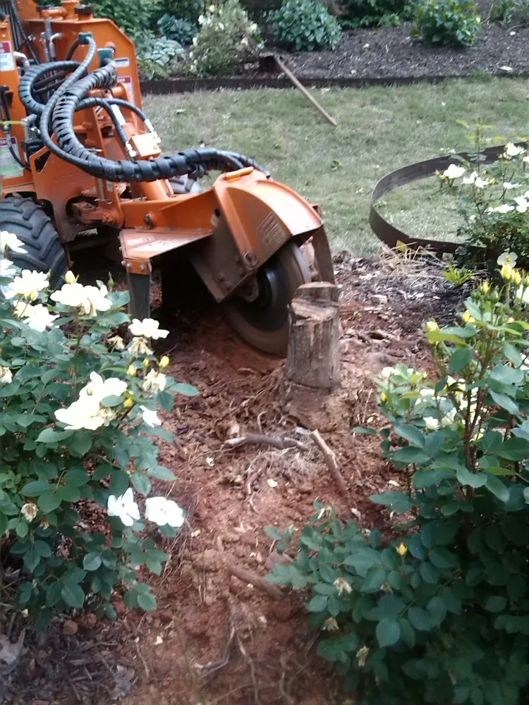 Expert yard maintenance for homes in Powder Springs, GA by LJ'S Stump Grinding