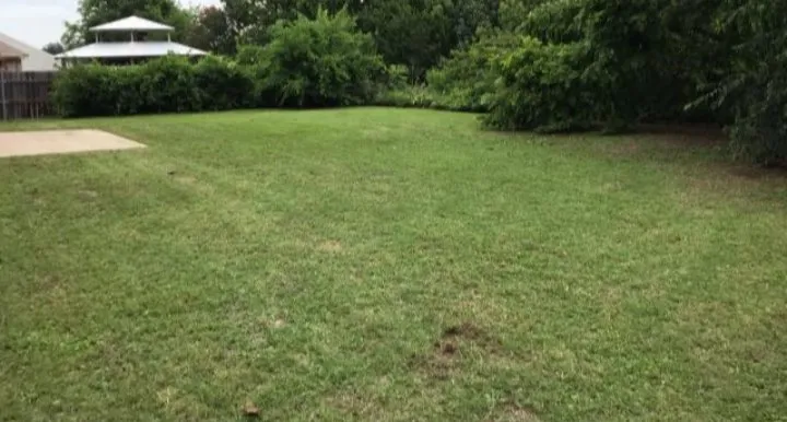 Affordable yard cleanup service in Denison, TX by LJslawncare