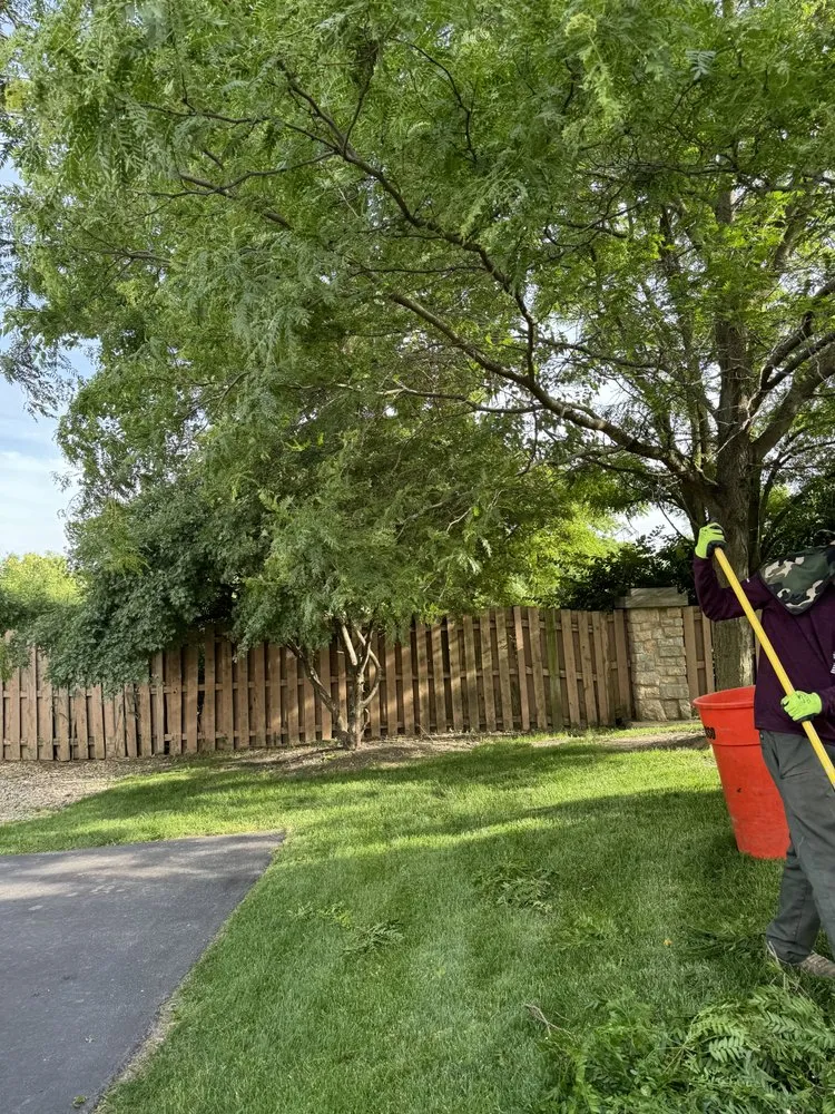 Professional yard maintenance in Oak Lawn, IL by Lk Landscaping & Snowplowing