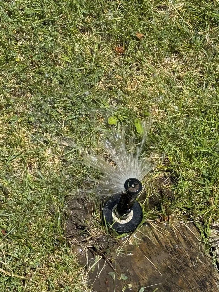 Professional outdoor landscaping experts serving Oak Lawn, IL - Lk Landscaping & Snowplowing