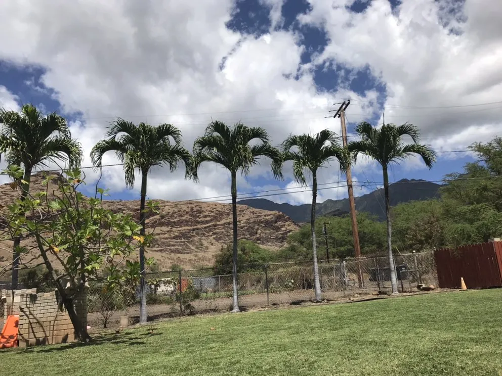 Expert landscape design experts serving Waianae, HI - L&K Lawn Maintenance Service