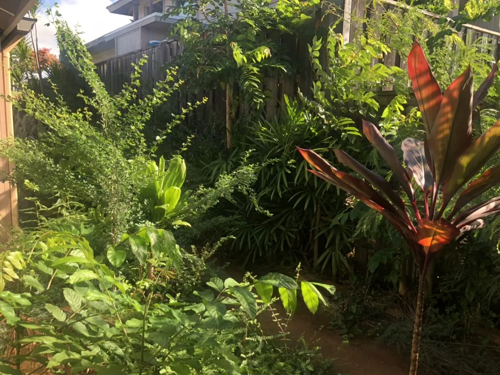 Professional yard maintenance experts serving Waianae, HI - L&K Lawn Maintenance Service