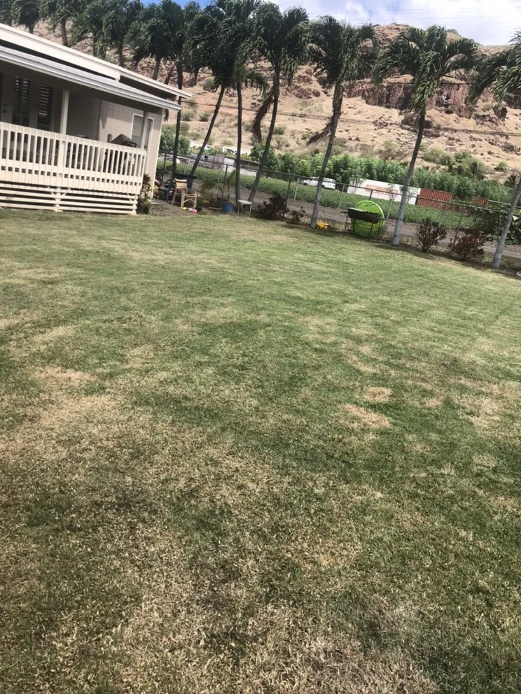 Affordable landscape design experts serving Waianae, HI - L&K Lawn Maintenance Service