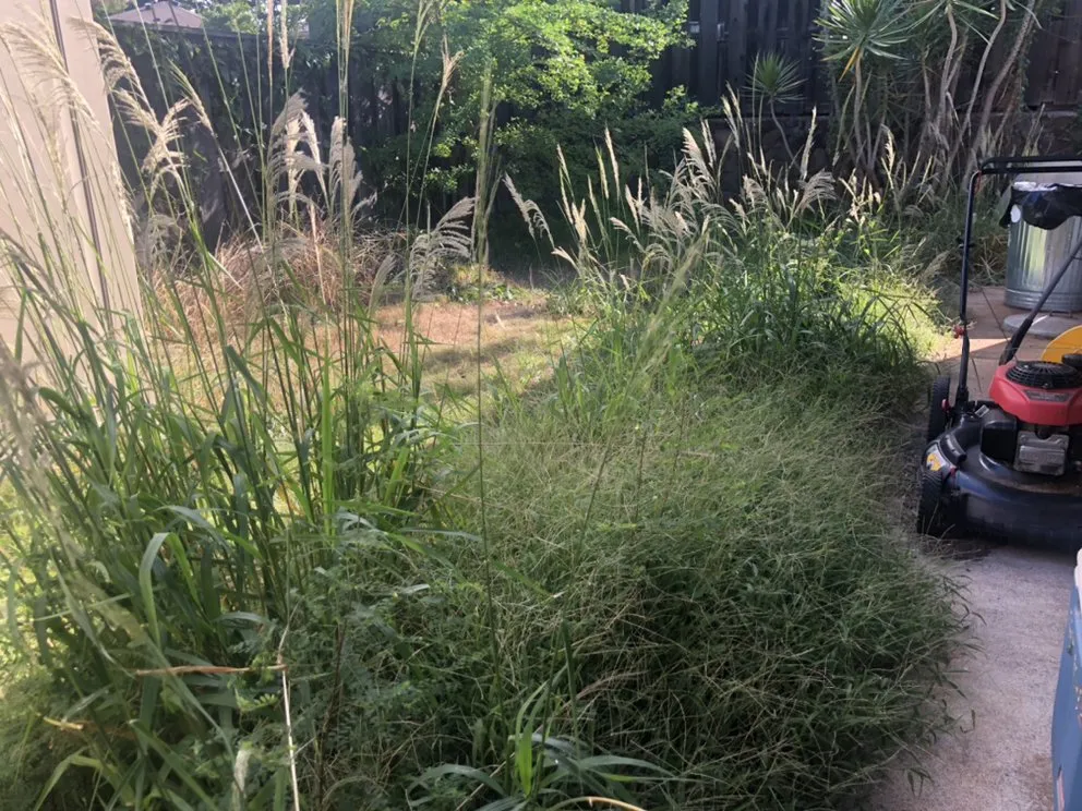 Reliable lawn mowing service for residential properties in Waianae, HI by L&K Lawn Maintenance Service