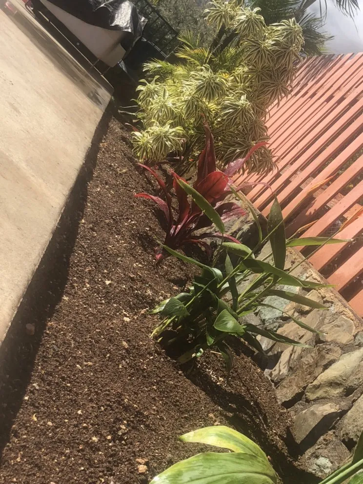 Professional landscaping services in Waianae, HI - L&K Lawn Maintenance Service