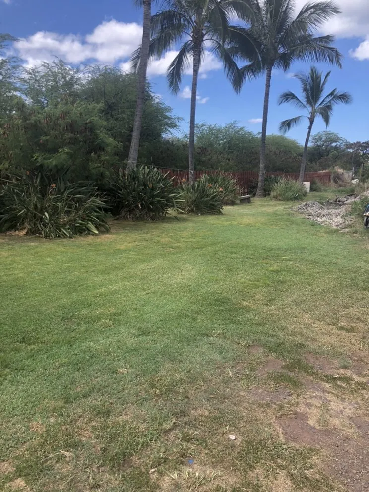Expert yard maintenance with custom design across Waianae, HI - L&K Lawn Maintenance Service