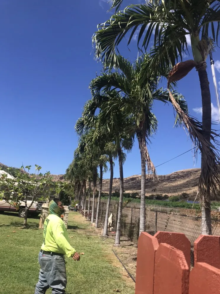 Trusted residential landscaping for residential properties across Waianae, HI - L&K Lawn Maintenance Service