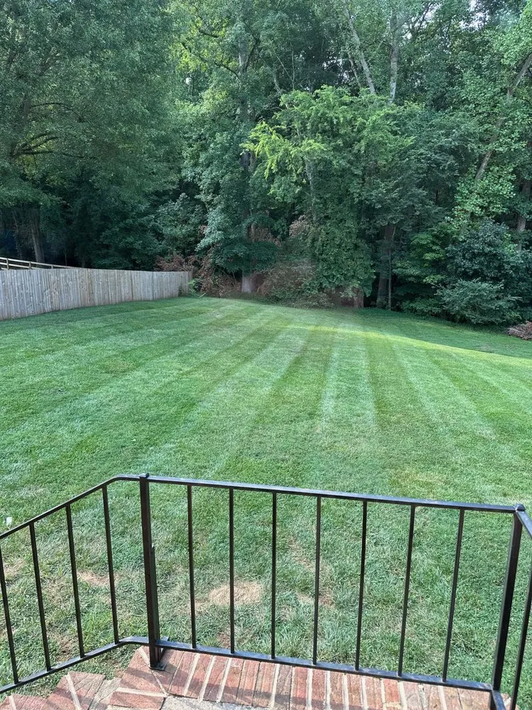 Professional landscaping services experts serving Iron Station, NC - LKN Landscaping