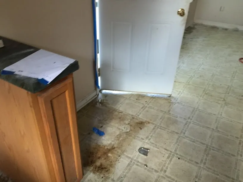 Custom yard maintenance for homes in Mooresville, NC by LKN REO Services