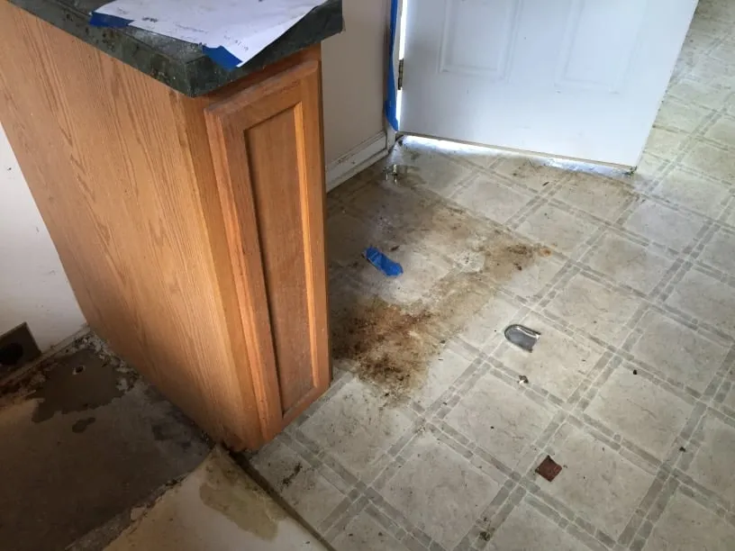 Top-rated yard cleanup service for beautiful yards across Mooresville, NC - LKN REO Services