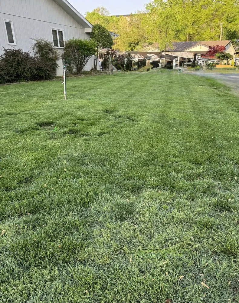 Custom landscape installation experts serving Branson, MO - LKS Lawncare