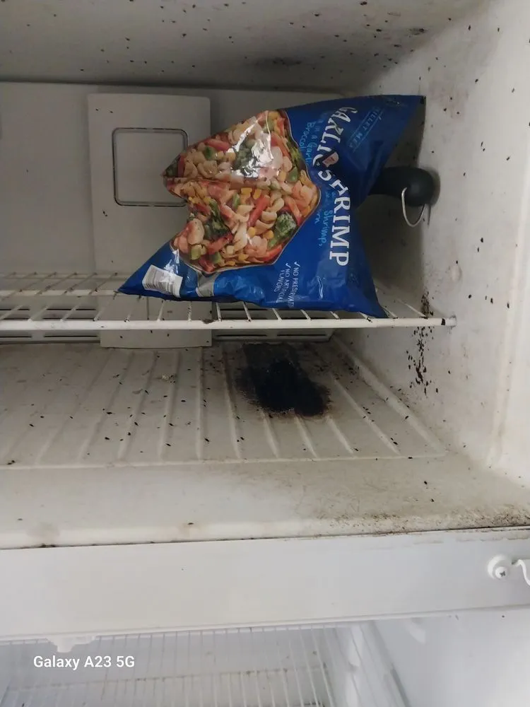 Custom outdoor landscaping in Hudson, NY - LL Cleanning Services & Lawn Mowing