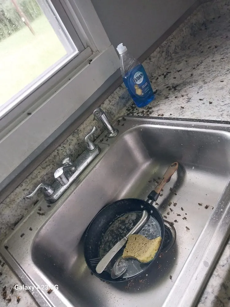 Affordable landscape design experts serving Hudson, NY - LL Cleanning Services & Lawn Mowing