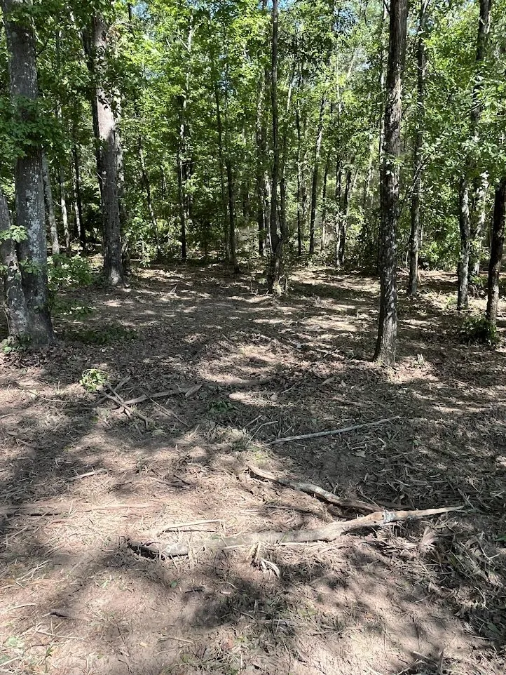 Expert landscape design in Sumter, SC - L&L Enterprises