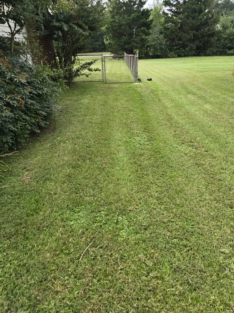 Top-rated outdoor landscaping for homes in Winston Salem, NC by L&L Green Landscaping