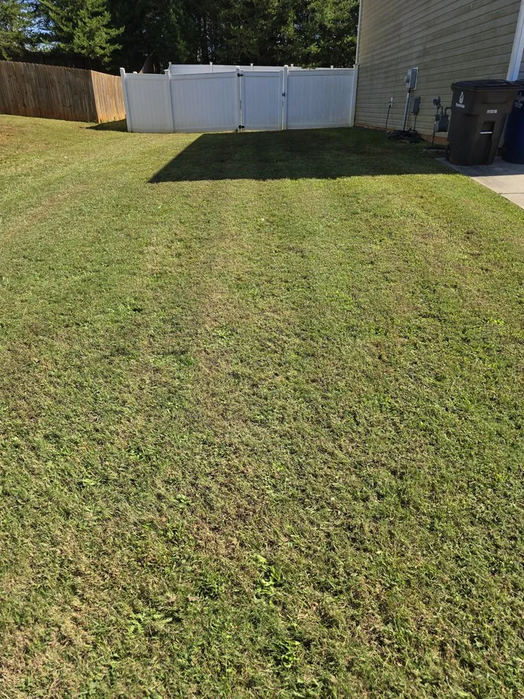 Reliable lawn care service experts serving Winston Salem, NC - L&L Green Landscaping