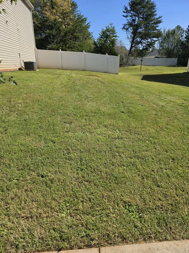 Local yard cleanup service experts serving Winston Salem, NC - L&L Green Landscaping