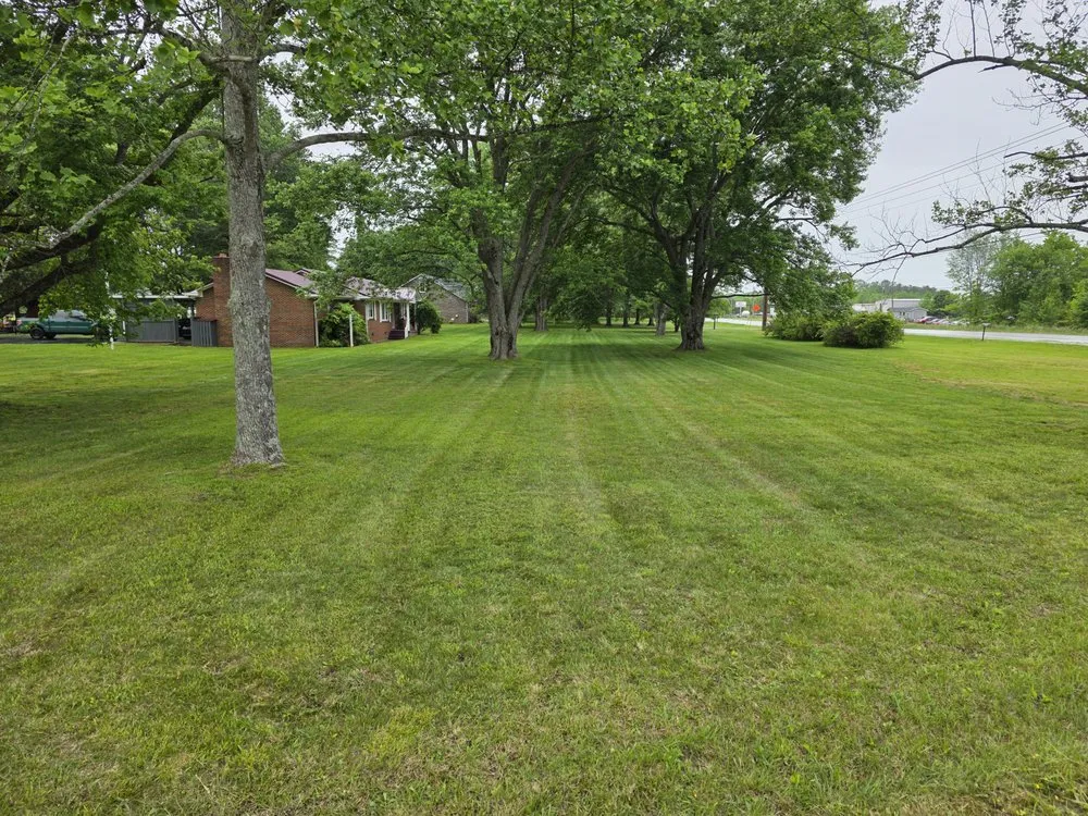 Reliable yard cleanup service in Hillsboro, TN - L&L Handyman Service