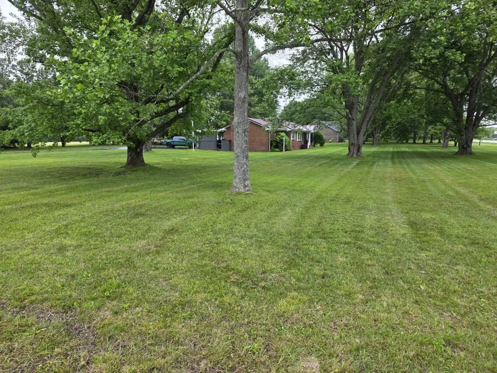 Top-rated yard cleanup service for beautiful yards in Hillsboro, TN by L&L Handyman Service