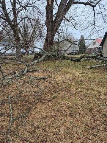 Professional outdoor landscaping in Hillsboro, TN - L&L Handyman Service