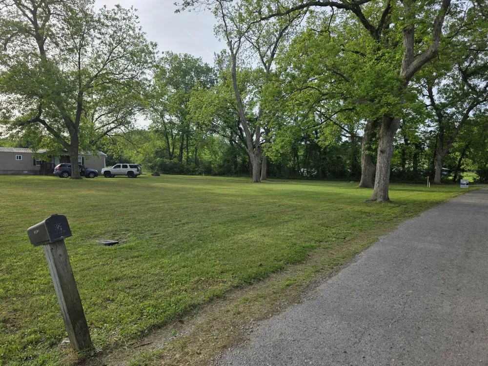 Trusted yard cleanup service experts serving Hillsboro, TN - L&L Handyman Service