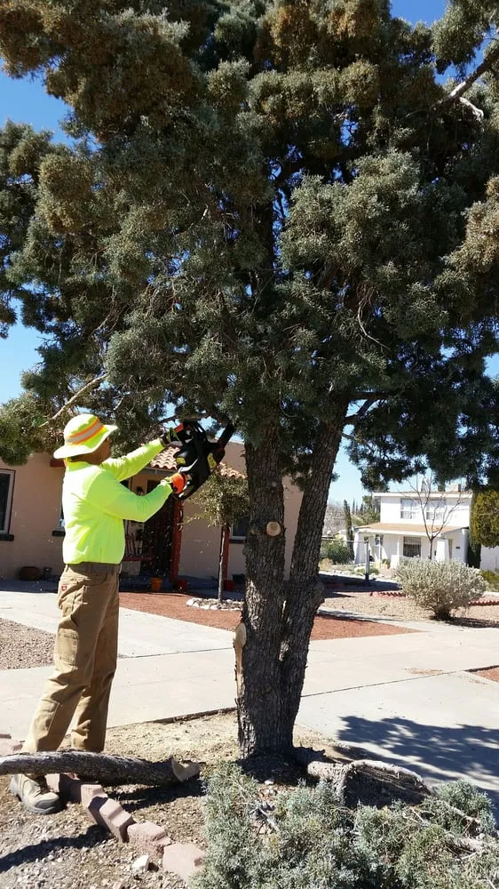 Affordable landscape design in El Paso, TX - L&L Home & Yard Care