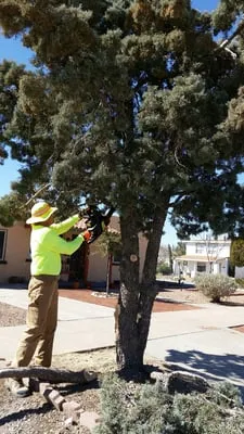 L&L Home & Yard Care Logo