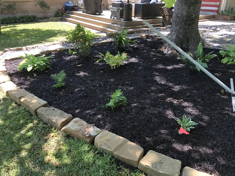 Reliable yard cleanup service for year-round maintenance in Fort Worth, TX by L&L Lawn Care