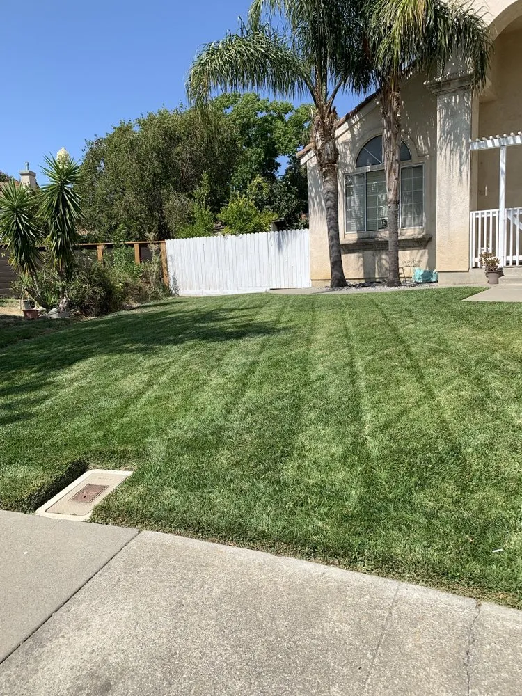Reliable landscaping services with custom design in Fairfield, CA by L&L Lawn Maintenance