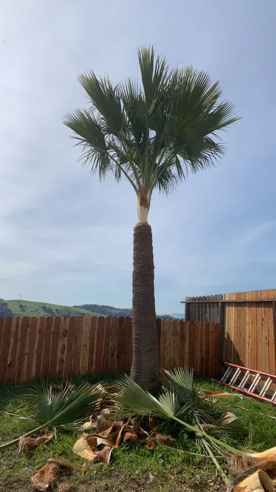 Affordable residential landscaping in Fairfield, CA - L&L Lawn Maintenance