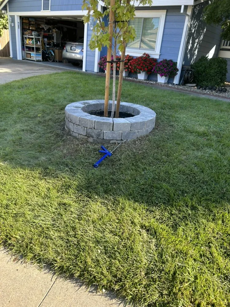 Affordable yard maintenance for homes across Fairfield, CA - L&L Lawn Maintenance